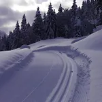 Oberauhof Kleinarl